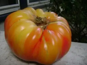 Mr. Stripey Tomato - 75+ seeds
