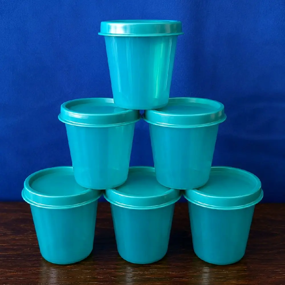 Tupperware Mini 6 pc