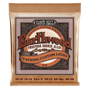 Ernie Ball Earthwood Phosphor Bronze 12 string Custom Light