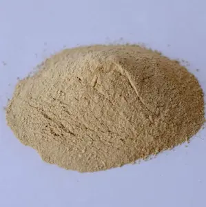 Gardening Haven House Rock Phosphate for Root Growth and Fertilization Natural Soil Enhancer