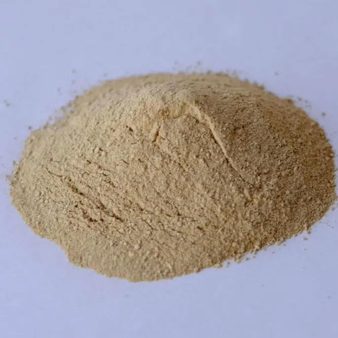 Gardening Haven House Rock Phosphate for Root Growth and Fertilization Natural Soil Enhancer
