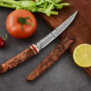 High quality Damascus steel boning knife, barbecue knife, chef's knife, comfortable grip, easy and stable to use, very suitable for kitchen, camping barbecue cooking, a gift for men