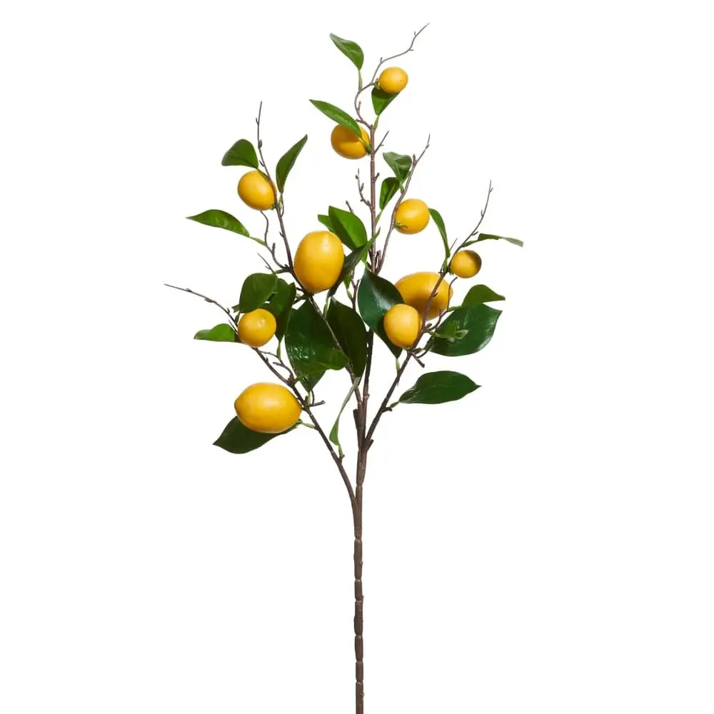 36" Lemon Spray