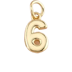 Number 6 Charm