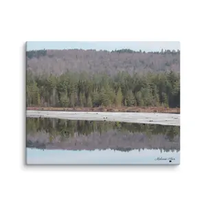 Spring Reflection Canvas Print