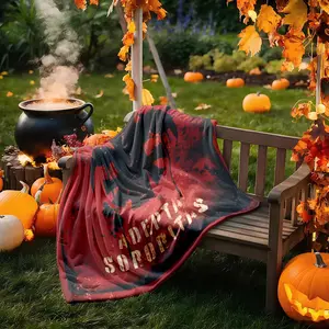 1 piece Warhammer 40K Sisters of Battle emblem design themed flannel blanket, Cozy Blanket Throw, suitable for sofas and beds, all-season use, super soft and comfortable, digital printing, 100% polyester material, machine washable