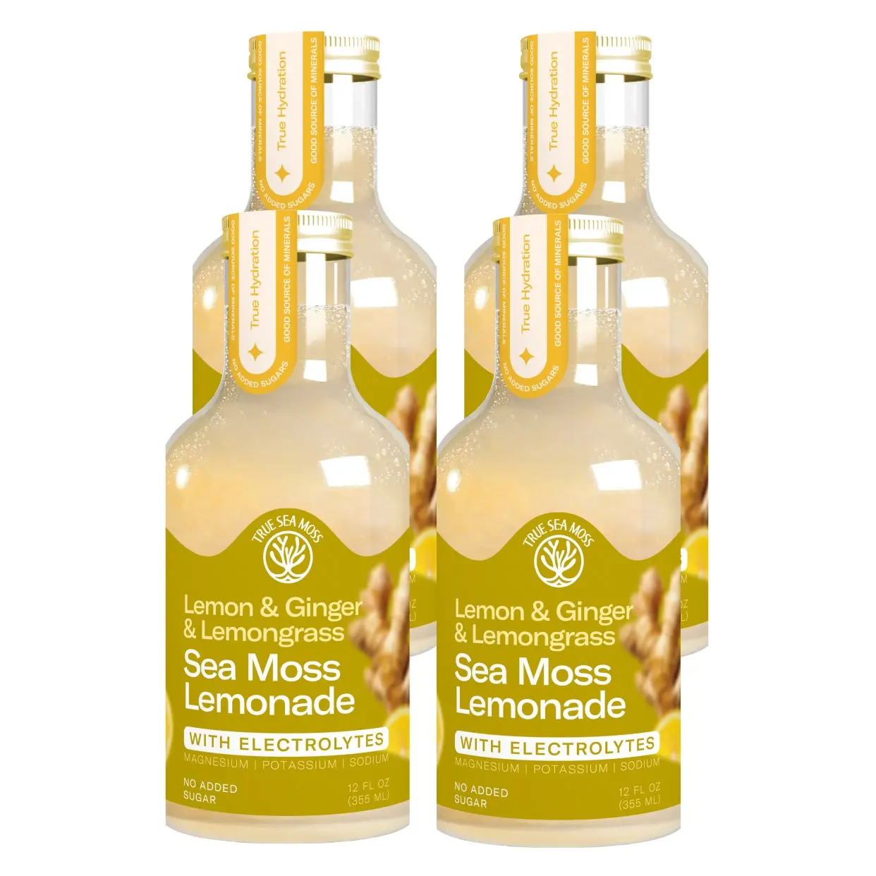 Lemon & Ginger & Lemongrass