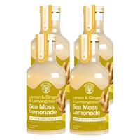 Lemon & Ginger & Lemongrass