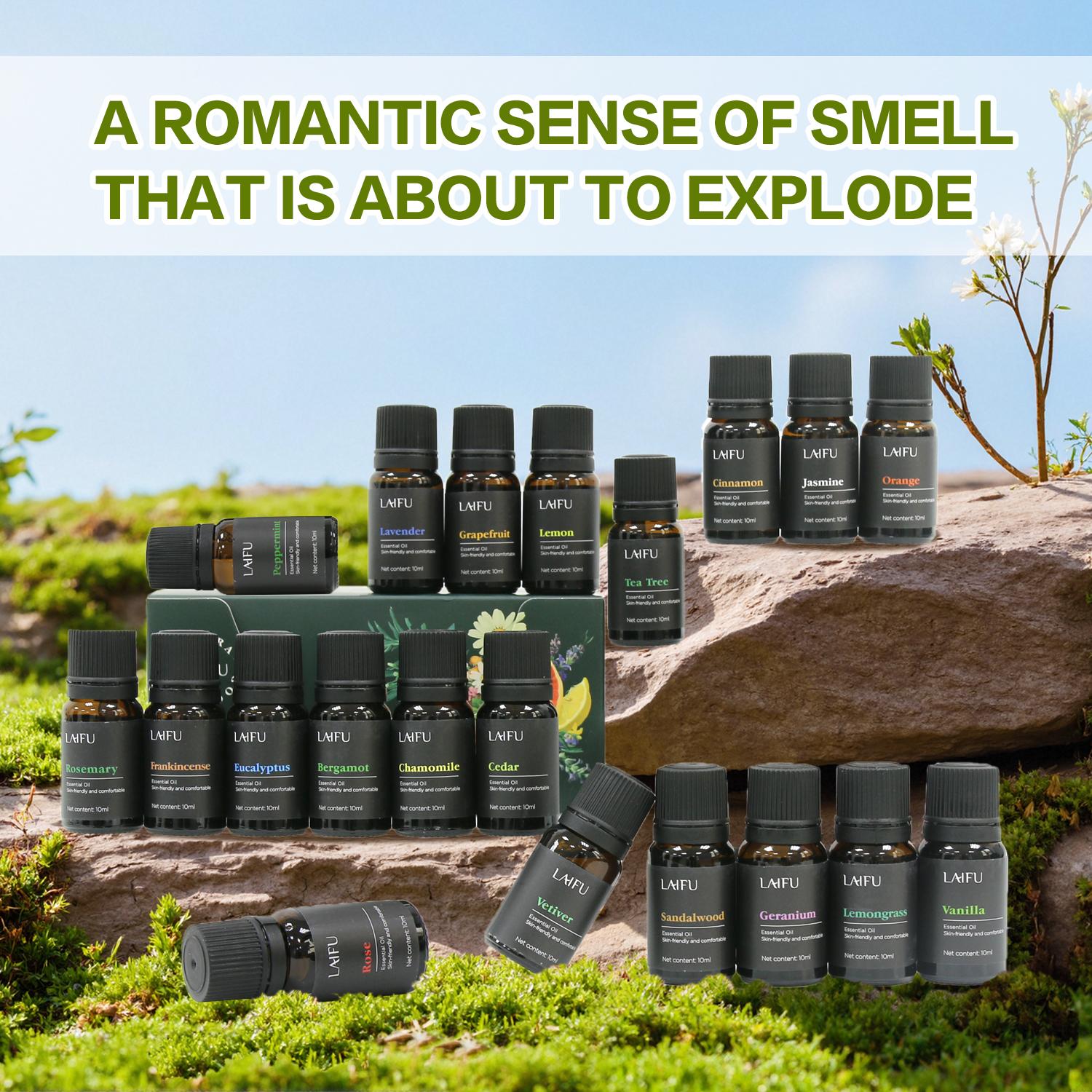 20x10ml Essential Oils Set for Diffuser Aromatherapy Candle Making Tropical Scents Plumeria Coconut Pina Colada Bali Strawberry Ocean Breeze Home Fragrance Relaxation valentine day Gift Idea Bath Bottle humidifier