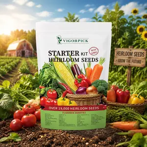 [Flash Sale 50% OFF] Veggie Seed Vault Safe Box - 35 Option Pack for Home Seeding & Raising Survival Seeds Productive Vegetable Mix Handy Gardening Gift for Each Countryside Home Garden