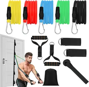 Resistance Bands Set for Men and Women - Exercise Bands with Handles, Door Anchor, Ideal for Strength Training and Functional Use