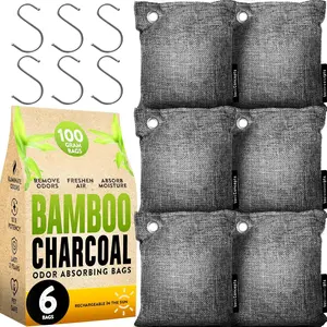 Charcoal Odor Absorber for  Odor (6 Pack, 100g each),  Charcoal Air Purifying Bag, Basement Musty Odor Eliminator Deodorizer, Activated Charcoal Odor Absorber for Closet, Shoe,