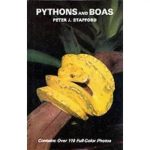 USED-Pythons and Boas by Peter J. Stafford (Hardcover)