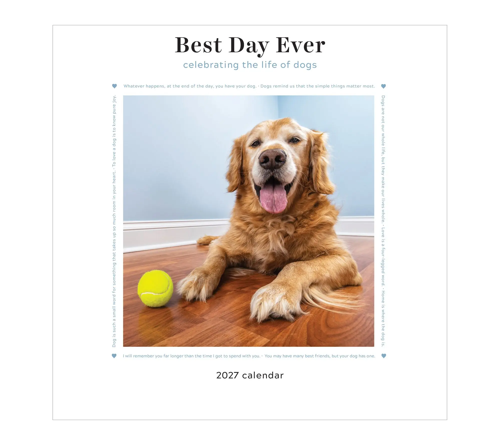 TF Publishing Celebrating The Life of Dogs Wall Calendar