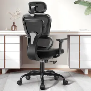 Ergonomic Office Chair Desk Chair High Back Computer Chair with Lumbar Support, 300lbs, Black