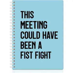 This Meeting Could Have Been A Fist Fight Blue Spiral Notebook, Funny Corporate Humor Notepad, Office Sarcastic Humor Gifts for Men Women Coworker BFF , Coworker Christmas Gifts