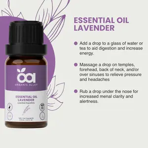 Organic Alley Mind & Mood Balance Daily Essential Collection 6-Pack - Lavender Oil for Calm Focus & Natural Energy - 100% Pure Undiluted - 6 x 10ml Bottles - Eco-Friendly Packaging