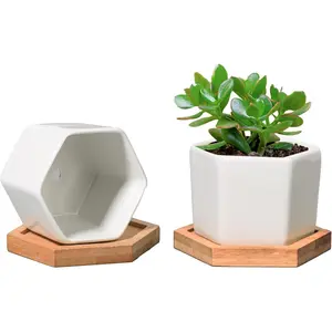 Set of 2 Small White Hexagon Succulent Planter Pots with Bamboo Tray – Geometric Ceramic Cactus Holders, Perfect Gift for Gardeners, Home & Office Decor