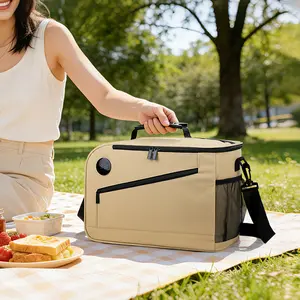 Thermometer insulated bag, outdoor fresh-keeping ice bag, large-capacity lunch bag, multi-functional lunch box storage bag, insulated picnic bag