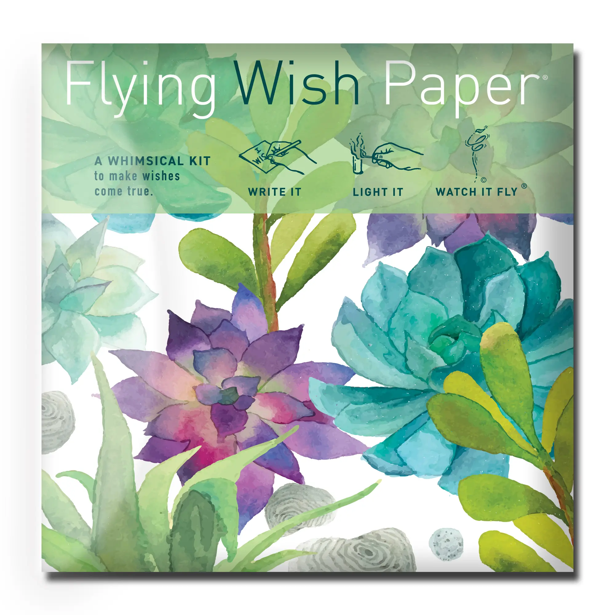 CACTUS GARDEN Flying Wish Paper - Desert Strong Wishes That Bloom Against Odds | Write It, Light It, Watch It Fly – Interactive Wish Release Whimsical Kit with Writing Sheets, Launch Platforms & Gold Pencil - Indoor Creative Activity - Meaningful Gift Set