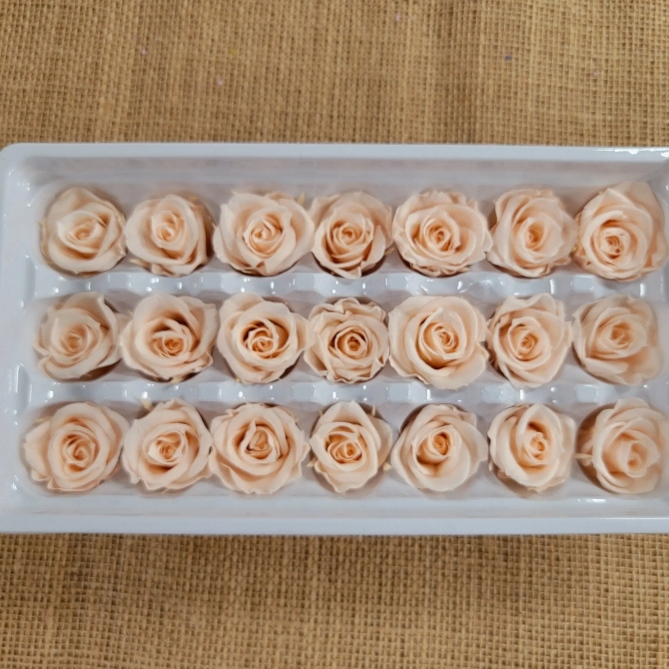 Preserved Roses - Champagne - For Prom, Christmas, Wedding - Dried Roses For Bouquet - Eternity Roses - Forever Roses - 21 Pack,
