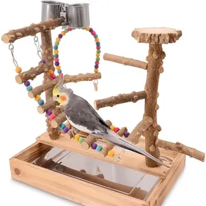Bird Playground, Bird Perch Play Stand, Bird Conure Parakeets Parrots Cockatiel Toys, for Bird Cage Accessories, Natural Wood