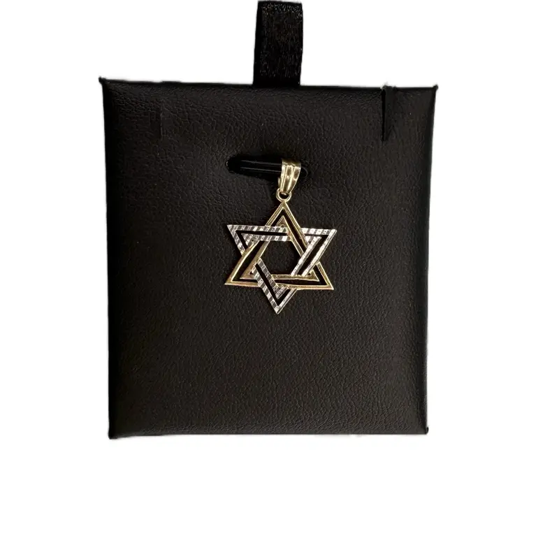 14K Gold Estrella de David Pendant