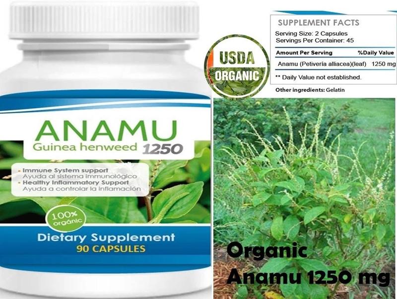 Anamu Herbal Daily Wellness Support Capsules – 90 Capsules