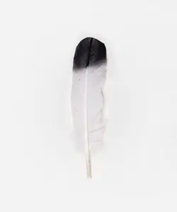 White Feather Hat with Black Tip - Elegant Design for Versatile Wear