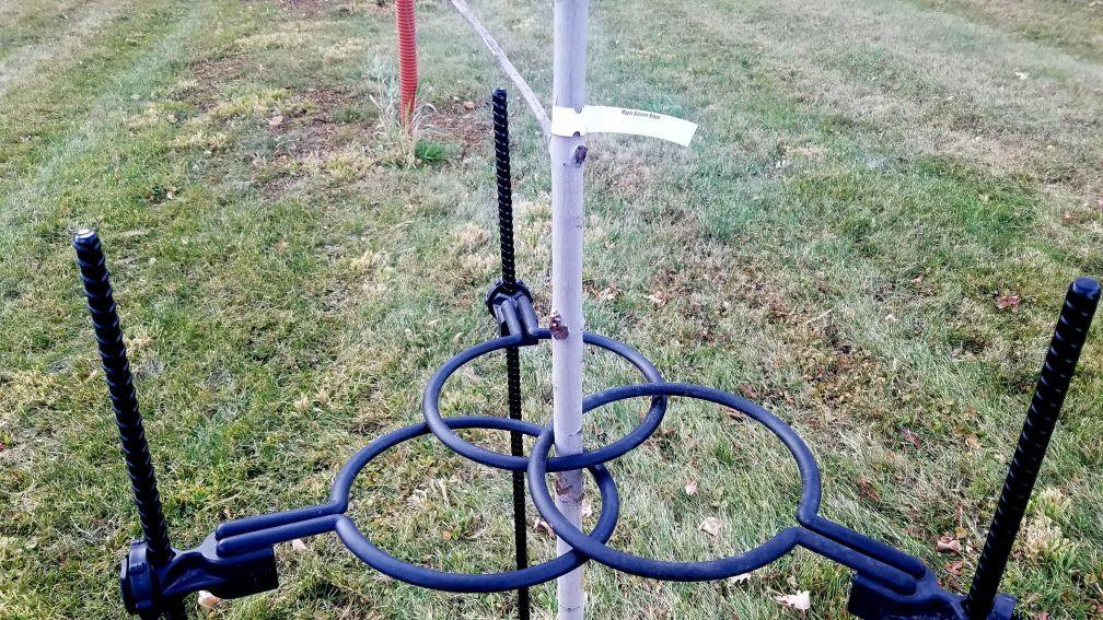 EZ Step Sapling Support Systems - 3 Support Rings & 3 Heavy Duty 1/2" x 60" Tall EZ Step-in Posts, Adjustable, Made in USA, 100% Eco-Friendly Steel