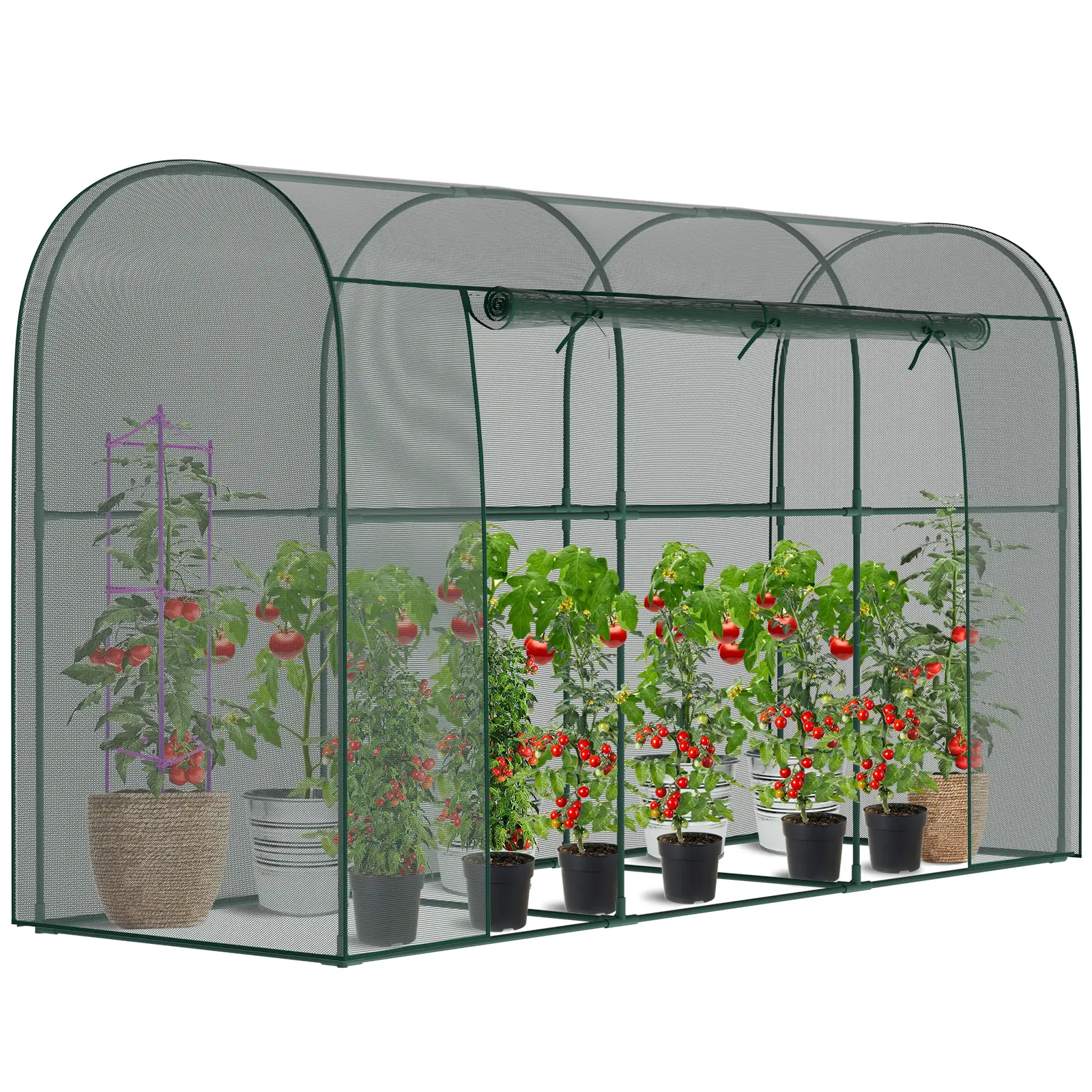 9.8 x 3.3 x 6 Ft (Round)