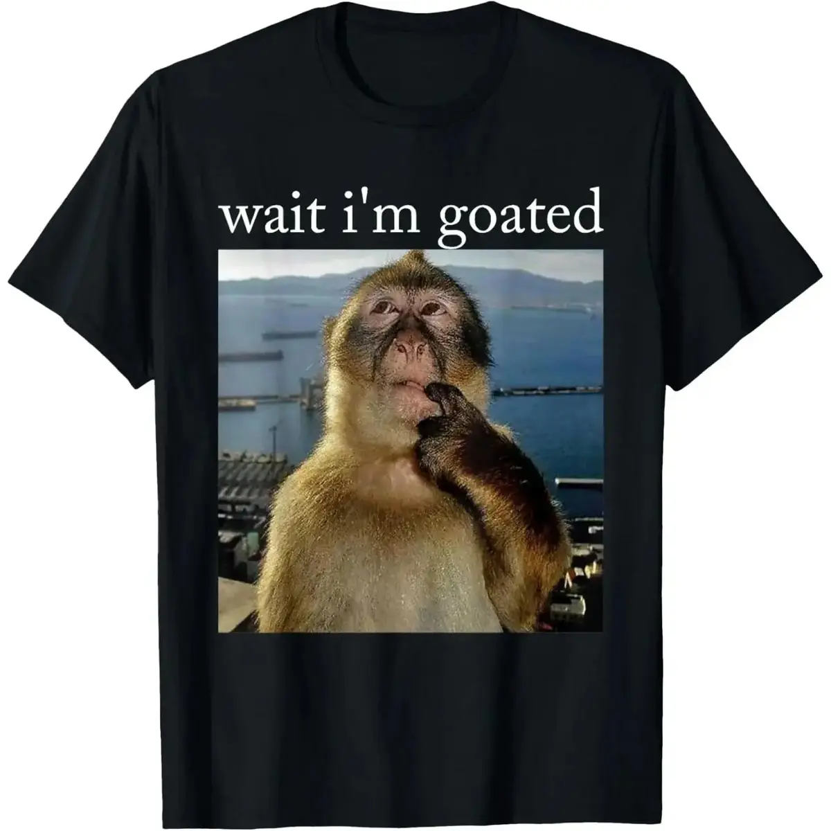 Women's Short-Sleeve Crew Neck Oversized Loose Casual Graphic T-Shirt - Soft Streetwear Top, Wait I'm Goated Funny Monkey Brainrot Gift, Vintage Tee