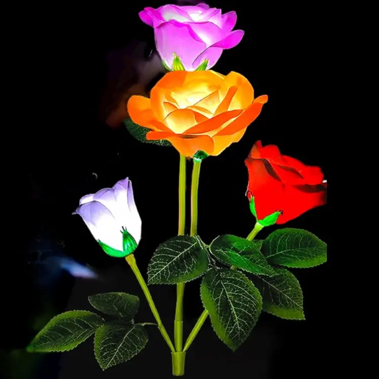 Solar color changing rose