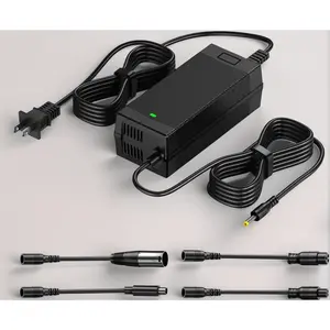 Fast 54.6V 2A Electric Scooter Charger with 5 Tips - Universal Replacement for 48V Lithium Batteries. Compatible with Lectric XP, Ecotric, Evercross, and More Ebikes/Scooters