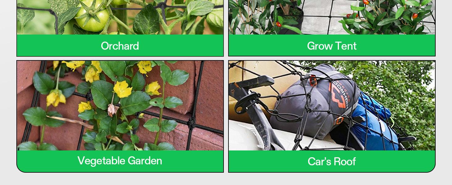 VIVOSUN Elastic Trellis Netting with 4 Hooks for Climbing Plants, Vegetables, Fruits, and Flowers, 1-Pack