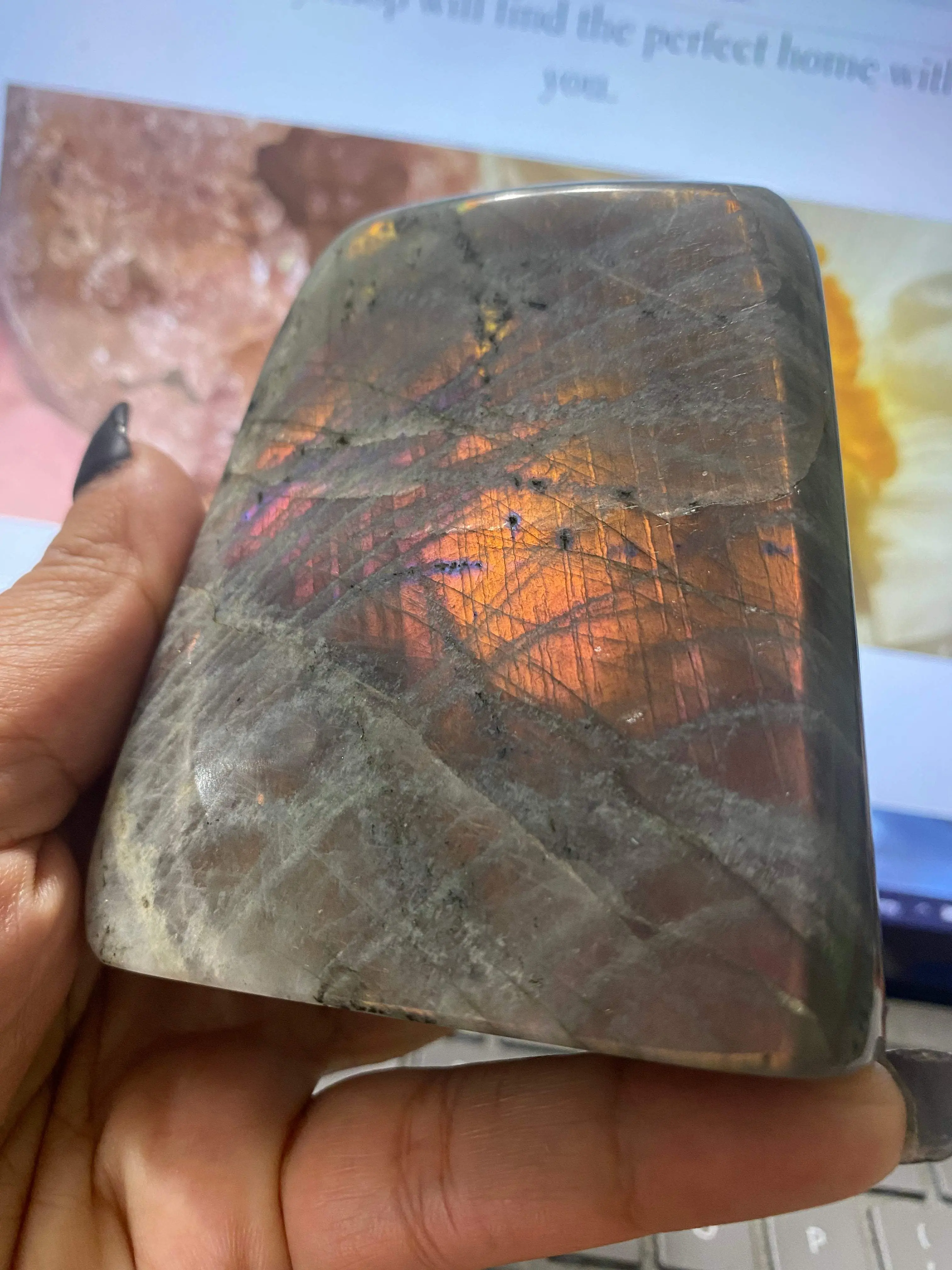 Purple Labradorite Freeform