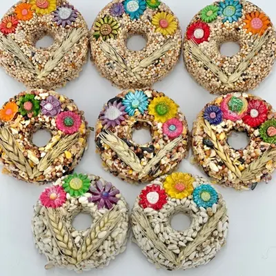 Homemade Bird Food for Feeder TikTok Shop