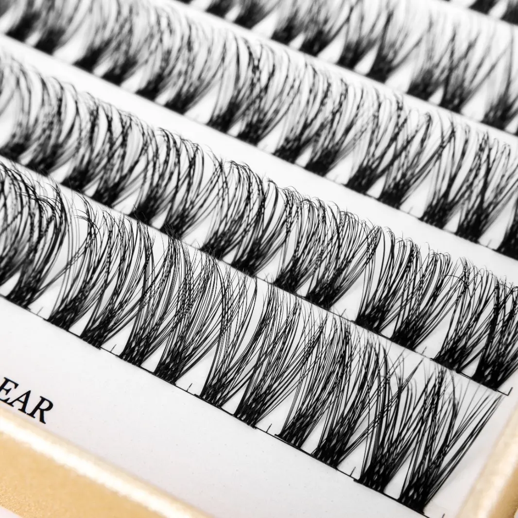 Lash segments (gold)