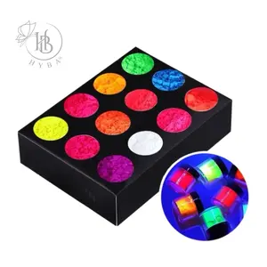 Neon Pigment Powder- 12 Pcs Color Set