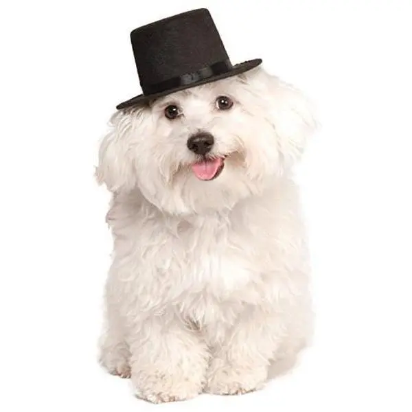 Pets Top Hat Costume Accessory