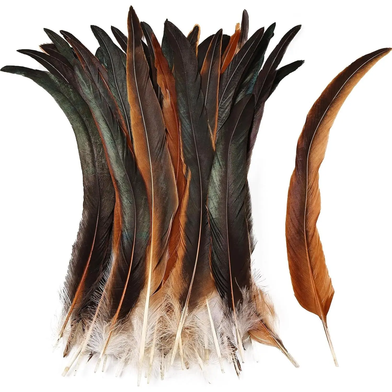 iHUFeather Natural Rooster Tail Feathers 30pcs 11-14inch Long Rooster Coque Tail Feathers Bulk for DIY Crafts Costume and Halloween Party Performances Decoration(Natural)