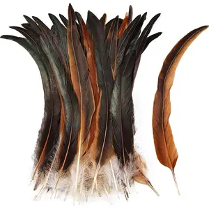 iHUFeather Natural Rooster Tail Feathers 30pcs 11-14inch Long Rooster Coque Tail Feathers Bulk for DIY Crafts Costume and Halloween Party Performances Decoration(Natural)