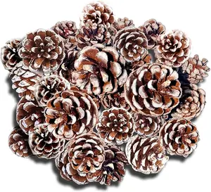 27 PCS Christmas Pine Cones, Pine Cones Bulk - White Pine Cones for Christmas Tree, Crafts, Pinecones Decorations