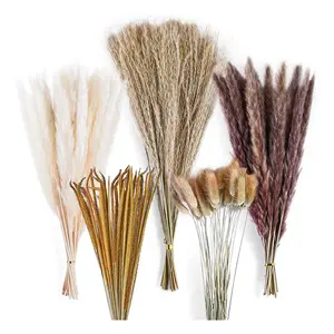 120Pcs Dried Pampas Grass Bouquet Pack, Farmhouse Boho Tall Dry Flowers Bundles for Home Vase Ornaments, Wedding Party Fall Decor Plants