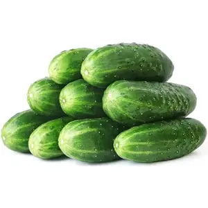 50 Straight Eight Cucumber Seeds - Heirloom Non-GMO USA Grown Vegetable Seeds for Planting - Pickling and Slicing Cucumber