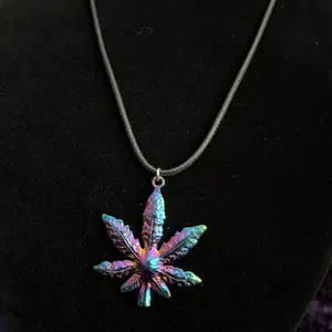 Rainbow Pot Leaf Charm Necklace (1”X1.5” charm on 18” leather necklace) Female