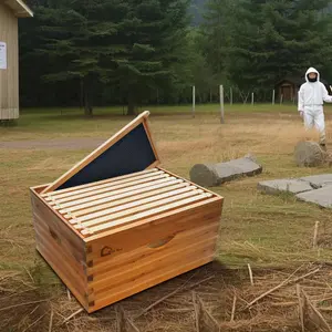 【Christmas Gift】10 Frame Bee Hive Box, Wax Coated Honey Super Bee Hive Kit with Frames and Foundations Sheets for Beginners Beekeepers, Deep Box
