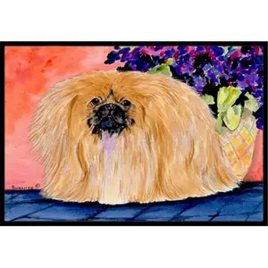 212 MAIN Pekingese Indoor/Outdoor Mat, 24x36 in., Permanently Dyed, Stain-Resistant, Fade-Resistant Household Textile Rug for Entryway Decor, Front Door Decor