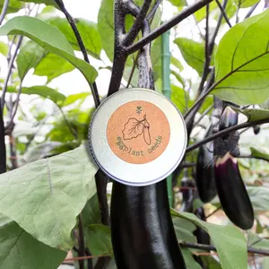 Organic Eggplant Seeds
