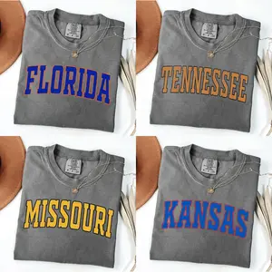 Comfort colors Vintage Varsity College T-Shirt, Unisex Casual Top, PEPPER Color T-Shirt, Football Shirt For Fans, Sports Tee PTS